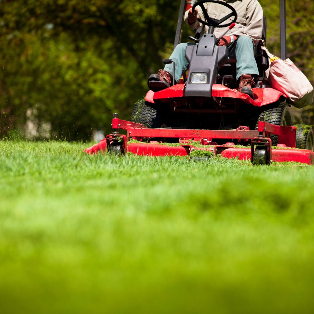 man mowing lawn to cut fresh grass